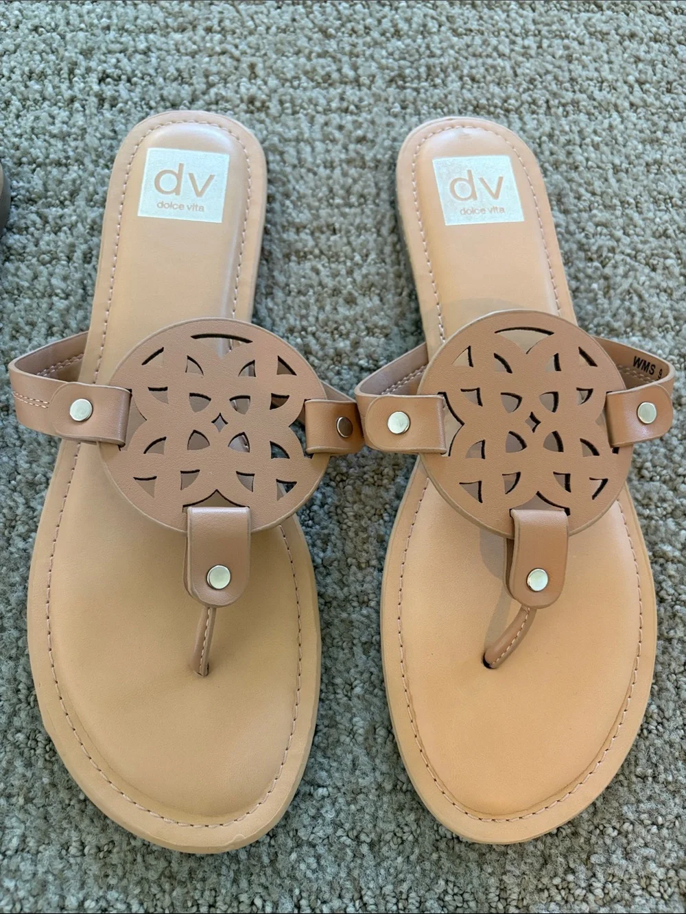 DV by Dolce Vita pair dv